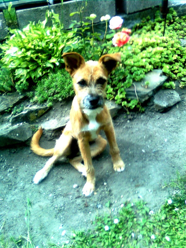 Obraz0087