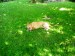 DSCN3792